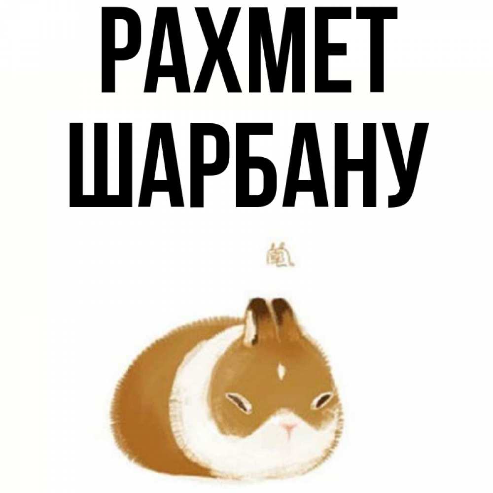 Күн сайын ашық хат с именем, ШАРБАНУ рахмет коричнево белый домашний питомец Онлайн тегін жүктеп алу тілектері бар керемет карта 