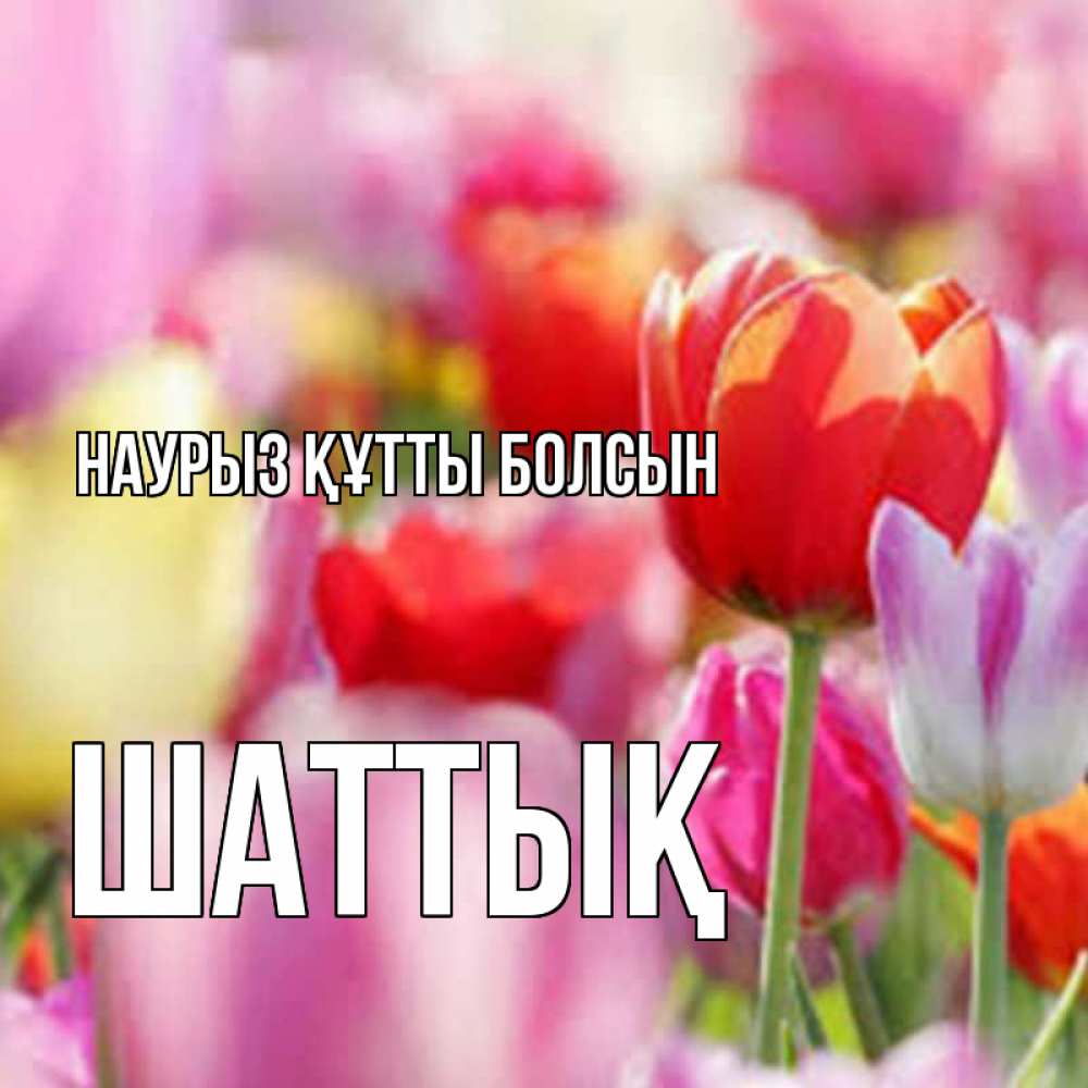 Күн сайын ашық хат с именем, ШАТТЫҚ Наурыз құтты болсын на наурыз  2 Онлайн тегін жүктеп алу тілектері бар керемет карта 