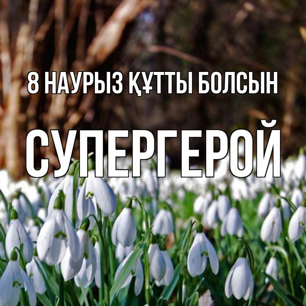 Күн сайын ашық хат с именем, Супергерой 8 наурыз құтты болсын с подснежниками 1 Онлайн тегін жүктеп алу тілектері бар керемет карта 