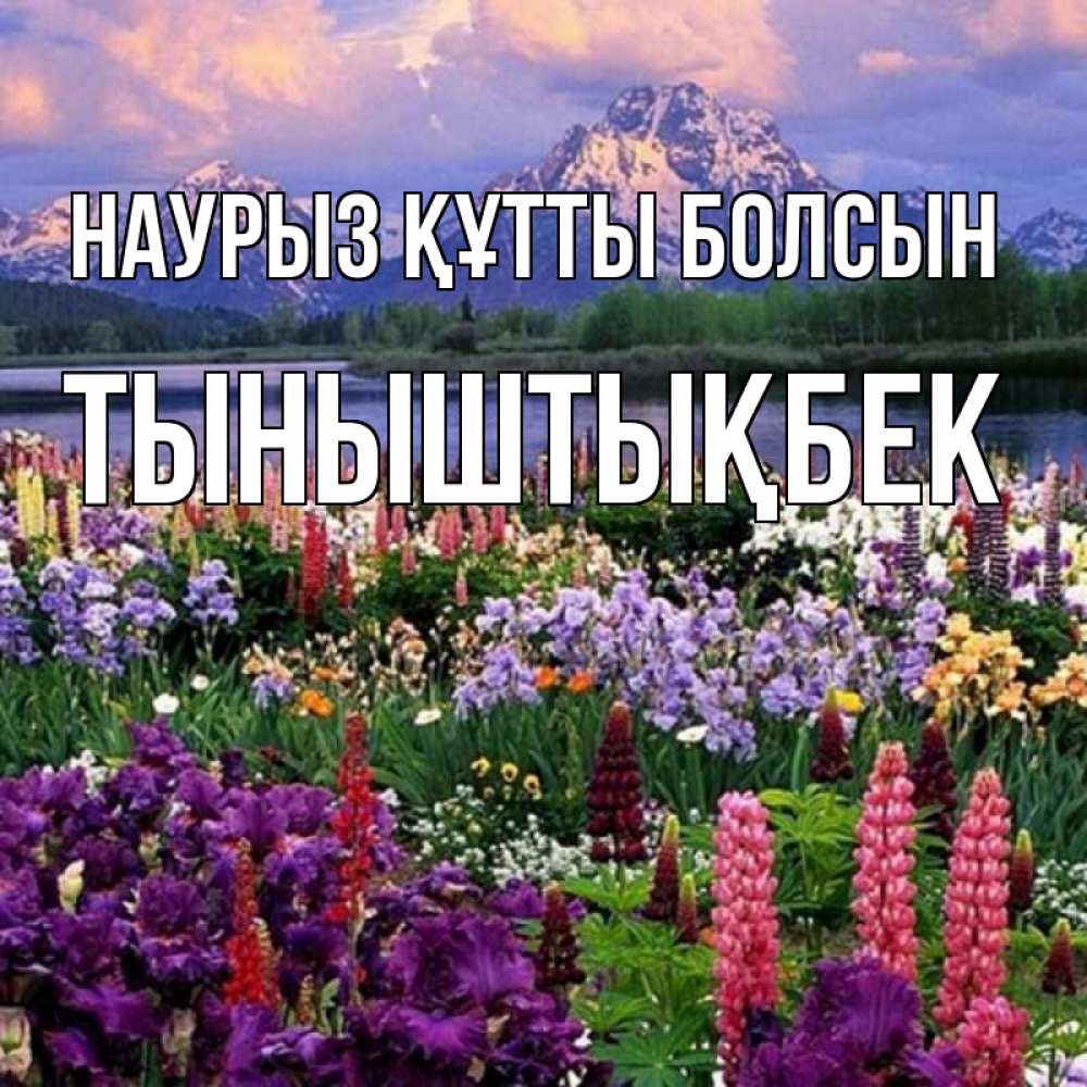 Күн сайын ашық хат с именем, ТЫНЫШТЫҚБЕК Наурыз құтты болсын наурыз Онлайн тегін жүктеп алу тілектері бар керемет карта 