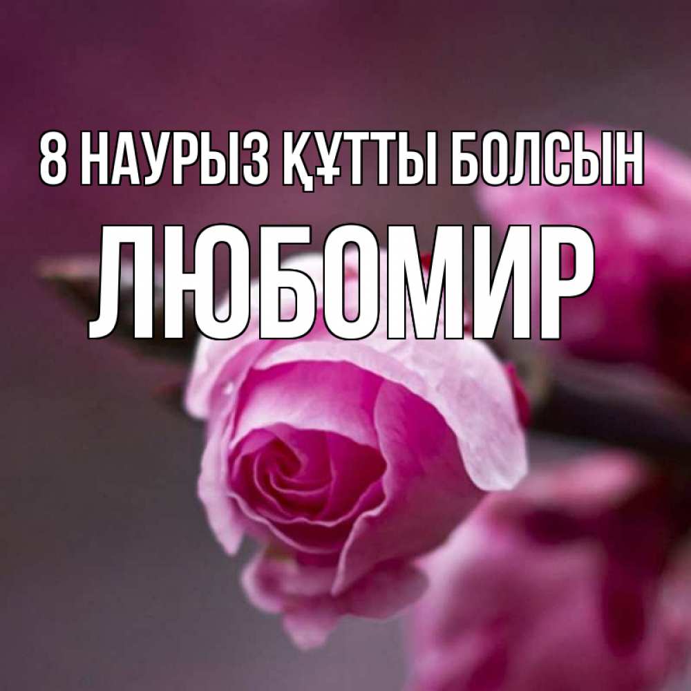 Күн сайын ашық хат с именем, Любомир 8 наурыз құтты болсын весна Онлайн тегін жүктеп алу тілектері бар керемет карта 