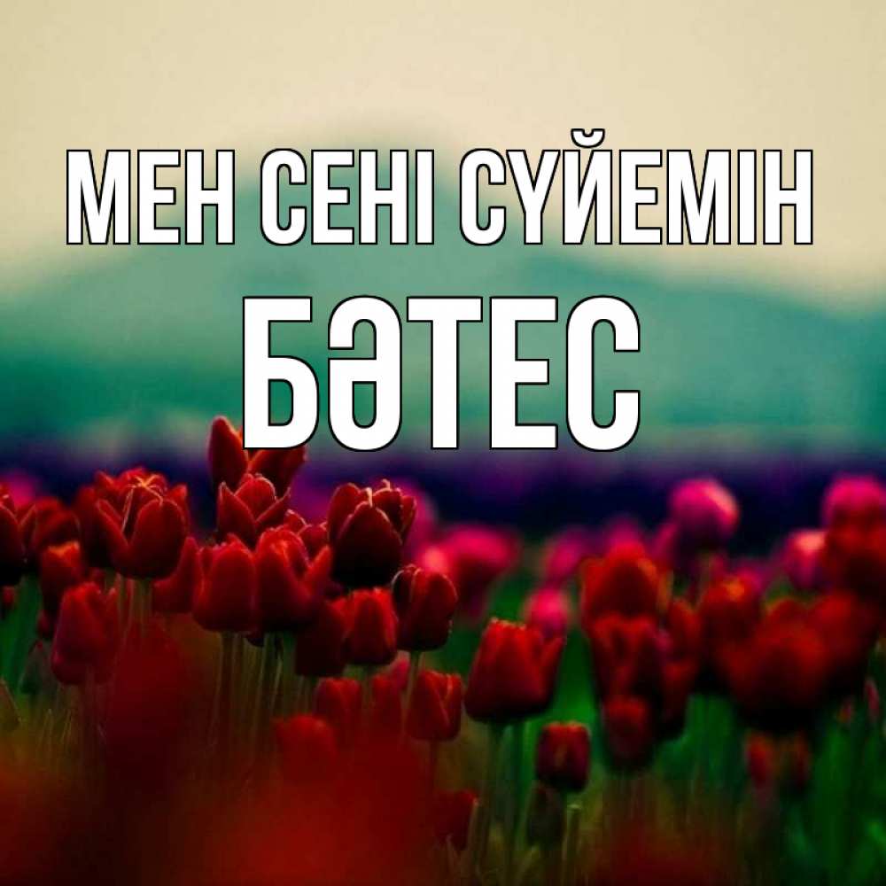 Күн сайын ашық хат с именем, БӘТЕС Мен сені сүйемін тюльпаны 4 Онлайн тегін жүктеп алу тілектері бар керемет карта 