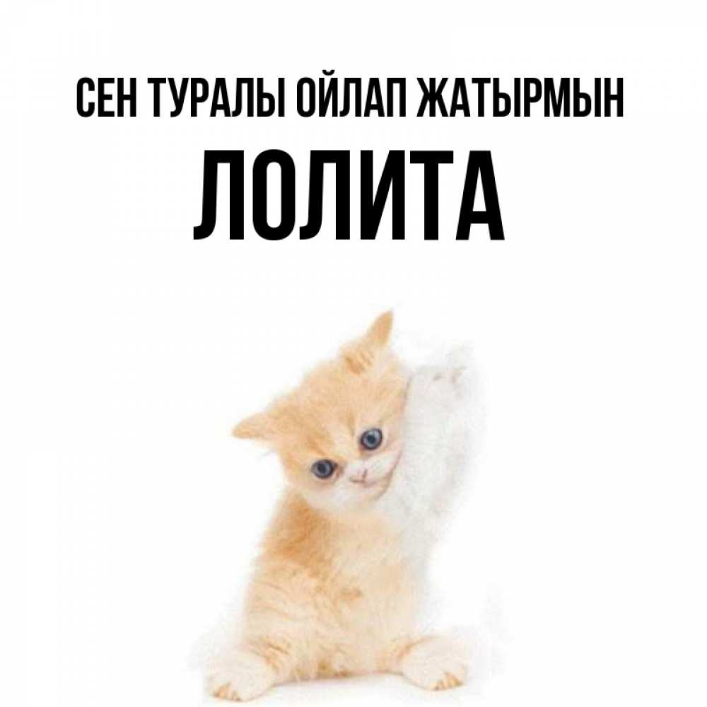 Күн сайын ашық хат с именем, Лолита Сен туралы ойлап жатырмын зверушки и милота Онлайн тегін жүктеп алу тілектері бар керемет карта 