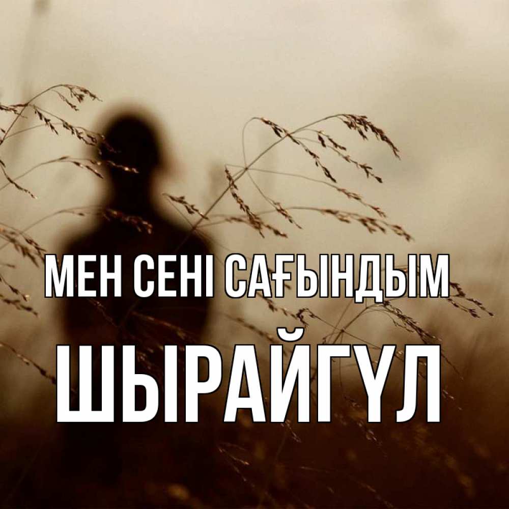 Күн сайын ашық хат с именем, ШЫРАЙГҮЛ Мен сені сағындым силуэт девушки Онлайн тегін жүктеп алу тілектері бар керемет карта 