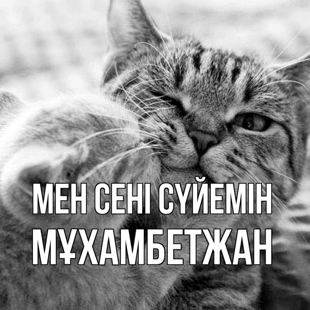 Күн сайын ашық хат с именем, МҰХАМБЕТЖАН Мен сені сүйемін коты Онлайн тегін жүктеп алу тілектері бар керемет карта 