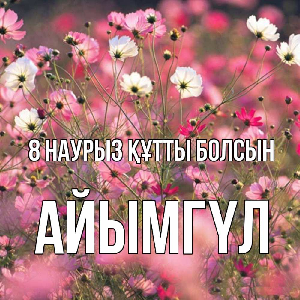 Күн сайын ашық хат с именем, АЙЫМГҮЛ 8 наурыз құтты болсын красиво 1 Онлайн тегін жүктеп алу тілектері бар керемет карта 