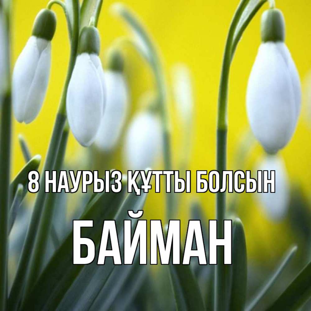 Күн сайын ашық хат с именем, Байман 8 наурыз құтты болсын весенние цветы Онлайн тегін жүктеп алу тілектері бар керемет карта 