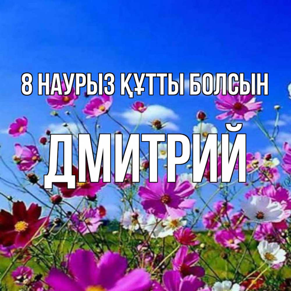 Күн сайын ашық хат с именем, Дмитрий 8 наурыз құтты болсын цветы Онлайн тегін жүктеп алу тілектері бар керемет карта 