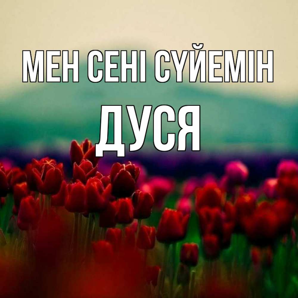 Күн сайын ашық хат с именем, Дуся Мен сені сүйемін тюльпаны 4 Онлайн тегін жүктеп алу тілектері бар керемет карта 