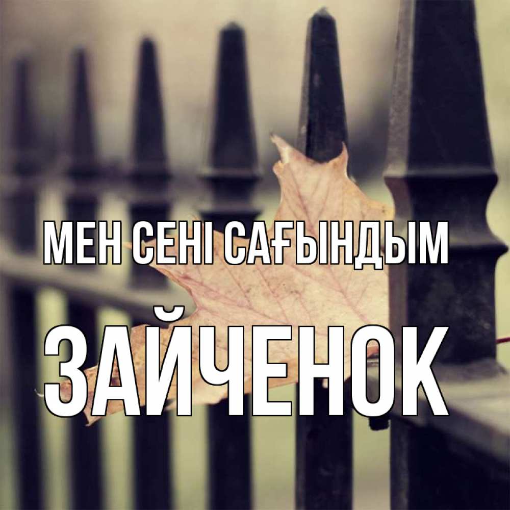 Күн сайын ашық хат с именем, Зайченок Мен сені сағындым очень скучно Онлайн тегін жүктеп алу тілектері бар керемет карта 