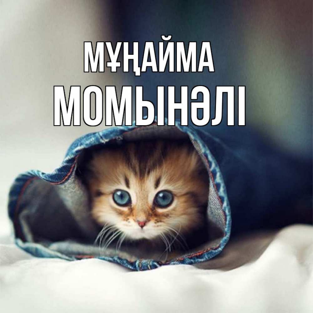Күн сайын ашық хат с именем, МОМЫНӘЛІ Мұңайма рыжик котик Онлайн тегін жүктеп алу тілектері бар керемет карта 