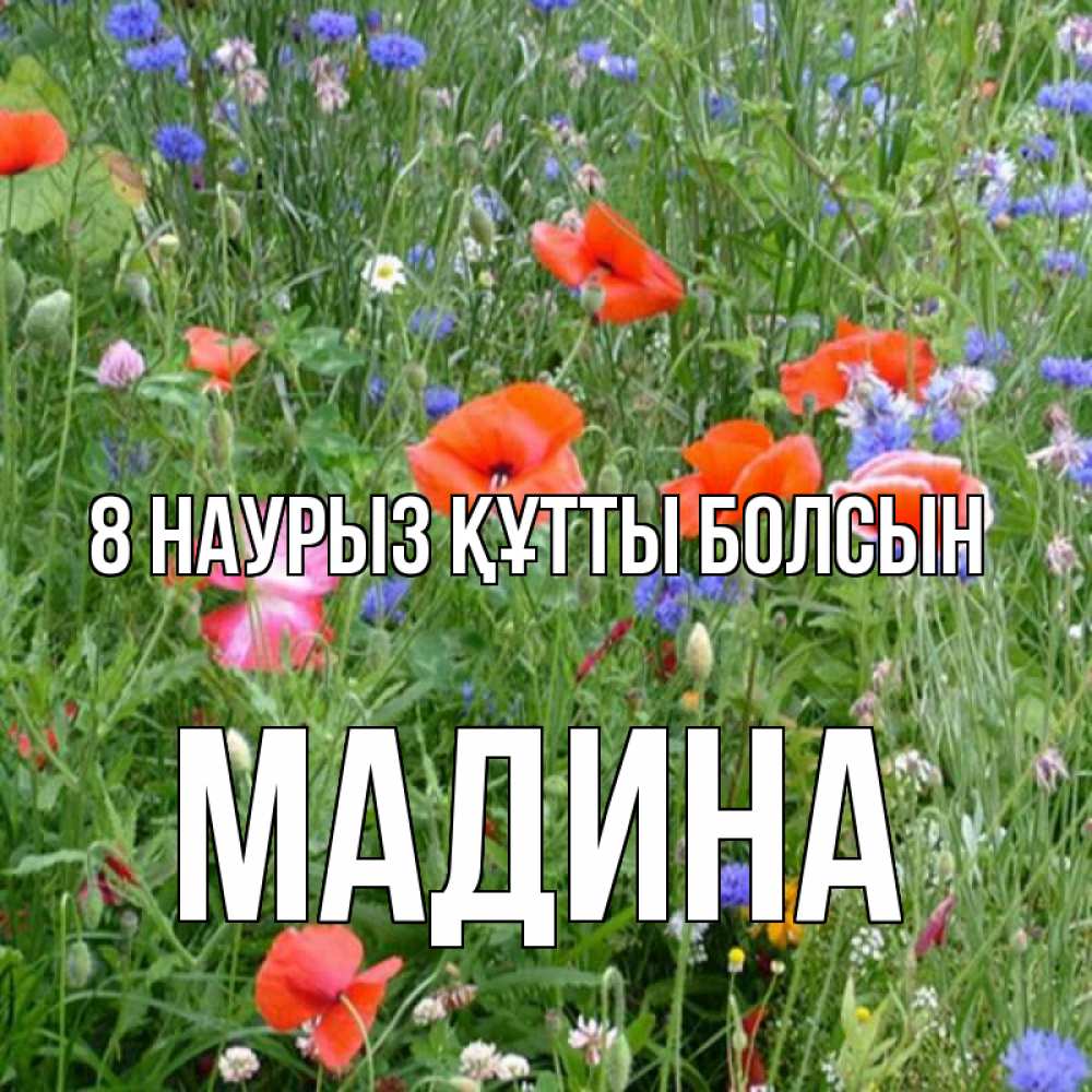 Күн сайын ашық хат с именем, Мадина 8 наурыз құтты болсын международный женский день 4 Онлайн тегін жүктеп алу тілектері бар керемет карта 