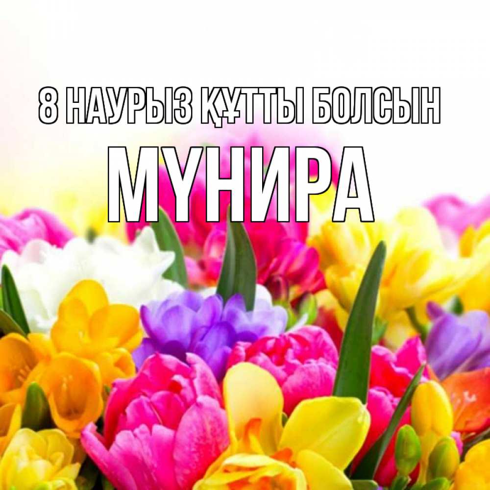 Күн сайын ашық хат с именем, МҮНИРА 8 наурыз құтты болсын тюльпаны Онлайн тегін жүктеп алу тілектері бар керемет карта 