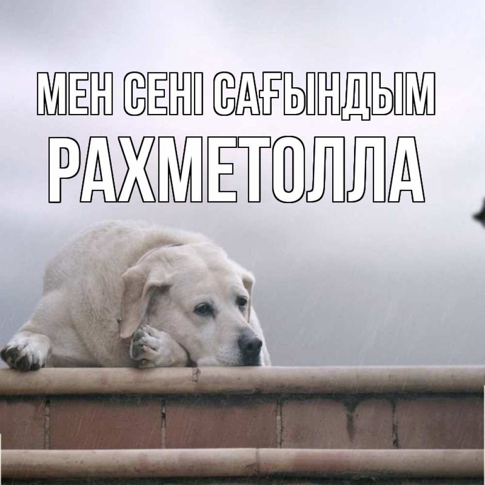Күн сайын ашық хат с именем, РАХМЕТОЛЛА Мен сені сағындым ждет Онлайн тегін жүктеп алу тілектері бар керемет карта 