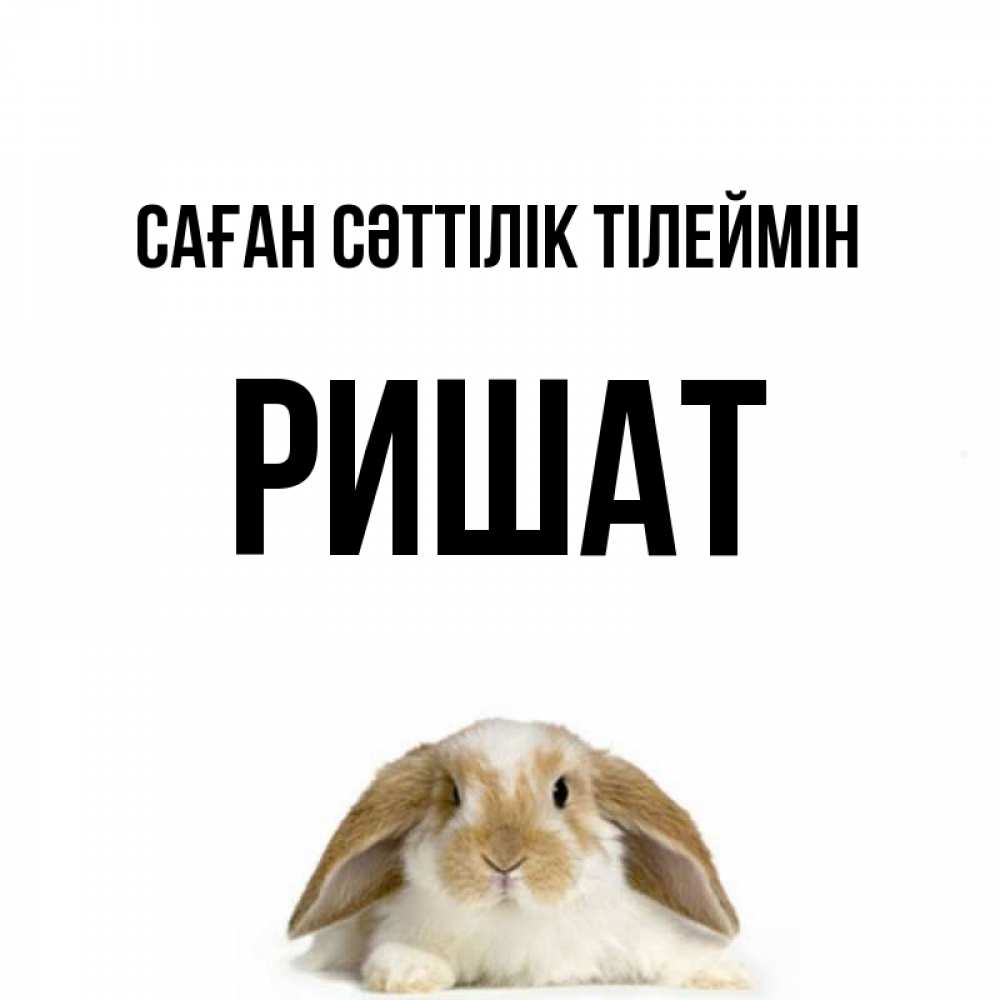 Күн сайын ашық хат с именем, РИШАТ Саған сәттілік тілеймін открытки с произвольным текстом который можно вставить в открытку и создать ее самостоятельно бесплатно онлайн Онлайн тегін жүктеп алу тілектері бар керемет карта 