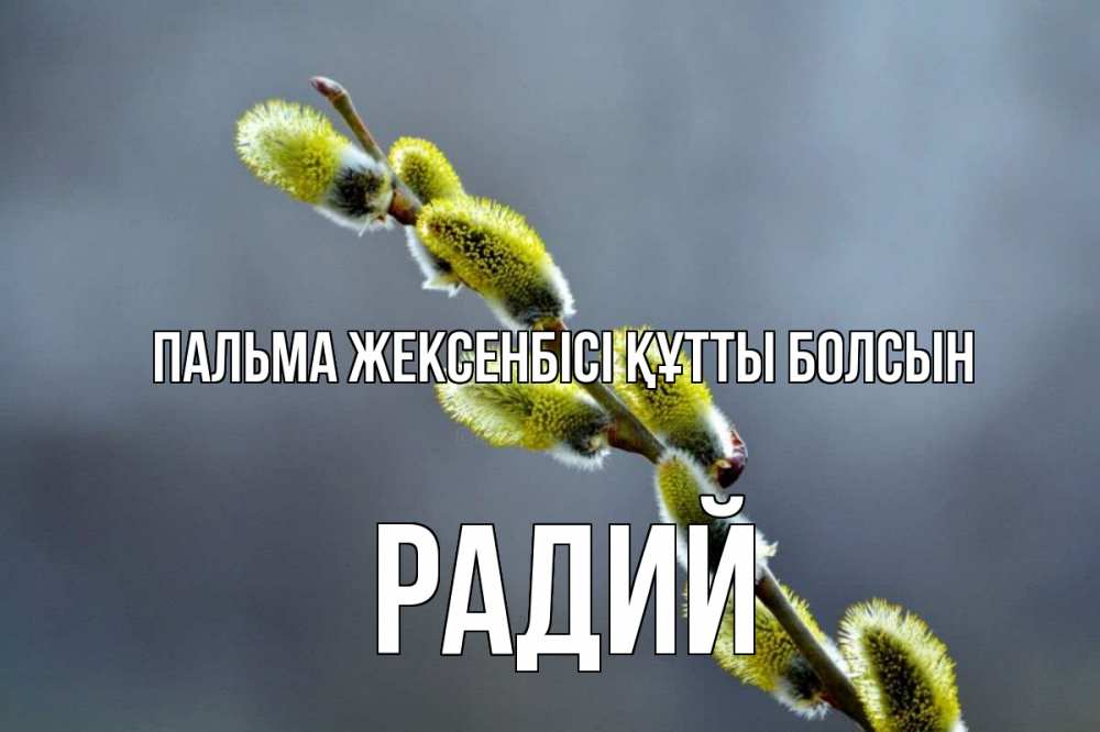 Күн сайын ашық хат с именем, Радий Пальма жексенбісі құтты болсын верба Онлайн тегін жүктеп алу тілектері бар керемет карта 