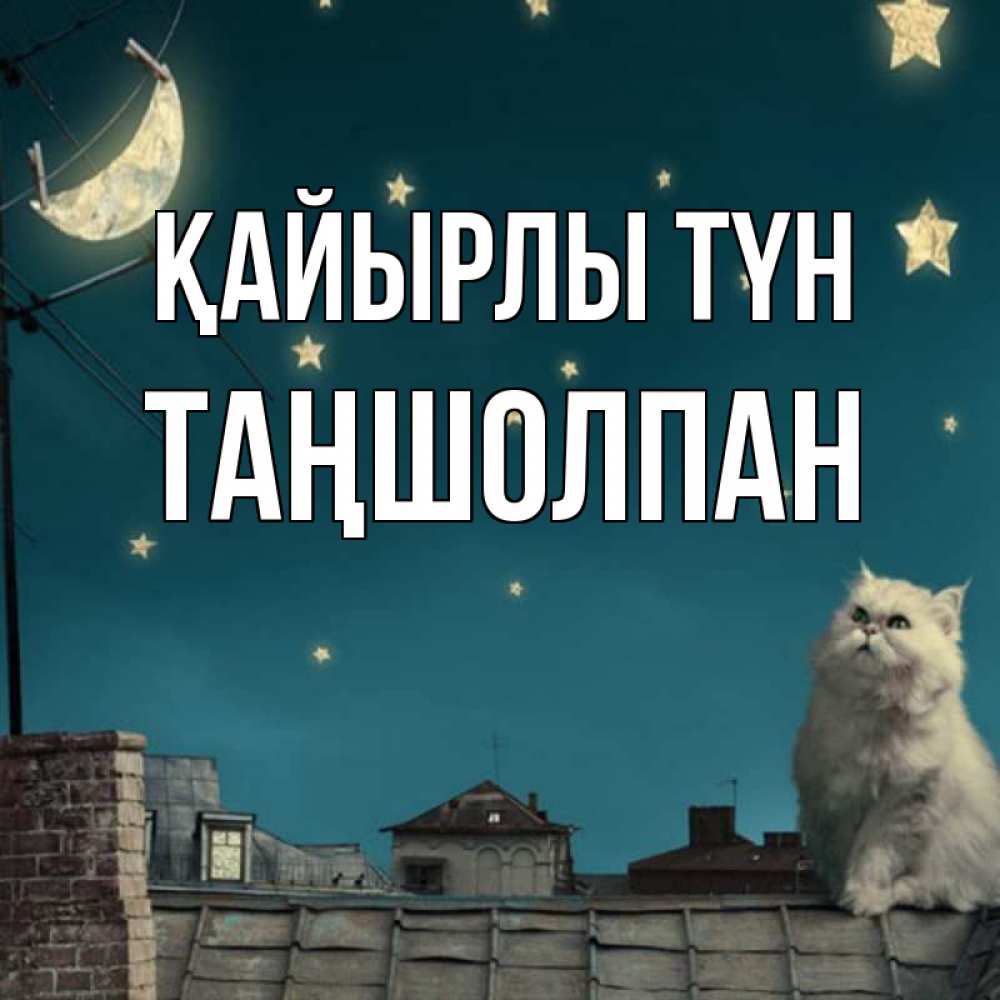 Күн сайын ашық хат с именем, ТАҢШОЛПАН Қайырлы түн белый кот сидит на крыше Онлайн тегін жүктеп алу тілектері бар керемет карта 