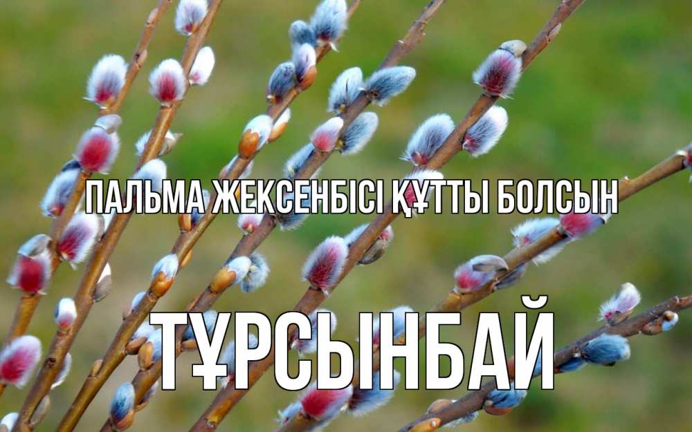 Күн сайын ашық хат с именем, ТҰРСЫНБАЙ Пальма жексенбісі құтты болсын верба Онлайн тегін жүктеп алу тілектері бар керемет карта 