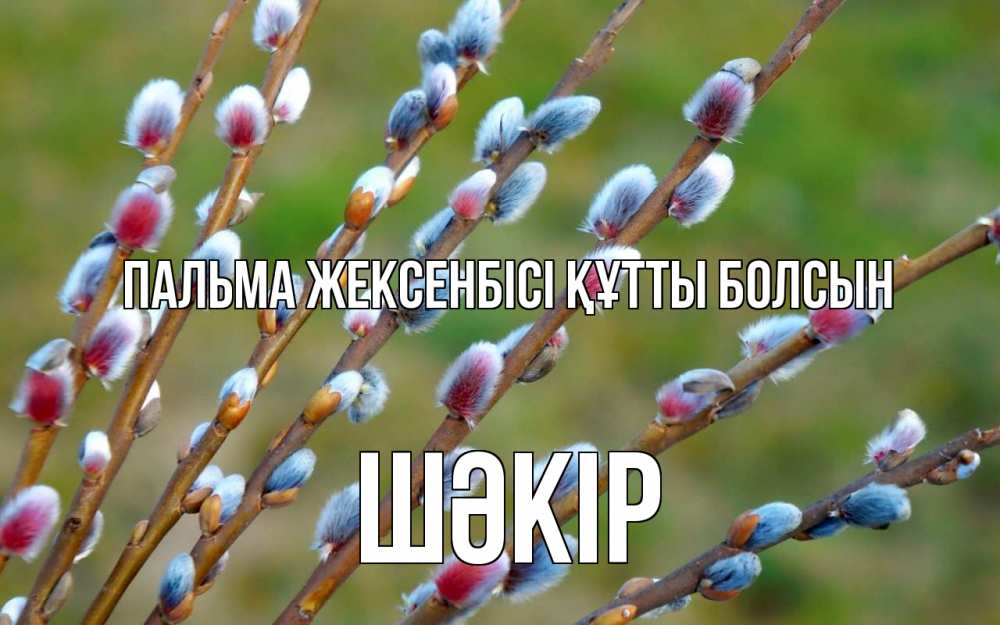Күн сайын ашық хат с именем, ШӘКІР Пальма жексенбісі құтты болсын верба Онлайн тегін жүктеп алу тілектері бар керемет карта 