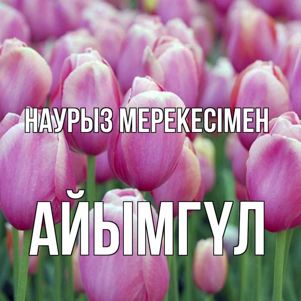 Күн сайын ашық хат с именем, АЙЫМГҮЛ Наурыз мерекесімен праздник весны наурыз 69 Онлайн тегін жүктеп алу тілектері бар керемет карта 