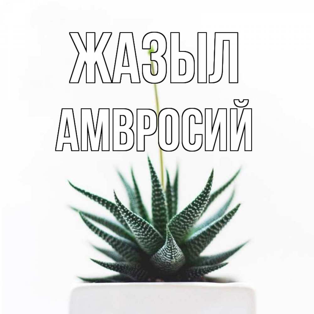 Күн сайын ашық хат с именем, Амвросий Жазыл короче это непонятная колючка Онлайн тегін жүктеп алу тілектері бар керемет карта 