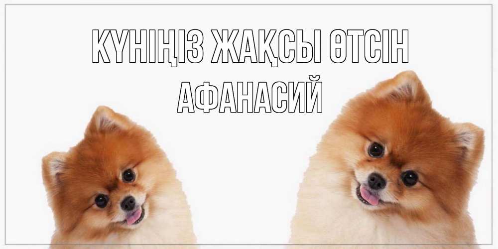 Күн сайын ашық хат с именем, Афанасий Күніңіз жақсы өтсін собачки желают прекрасного дня Онлайн тегін жүктеп алу тілектері бар керемет карта 