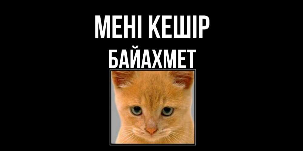 Күн сайын ашық хат с именем, Байахмет Мені кешір рыжий грустный кот просит прощения Онлайн тегін жүктеп алу тілектері бар керемет карта 