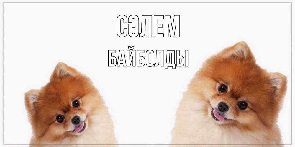 Күн сайын ашық хат с именем, Байболды Сәлем привет Онлайн тегін жүктеп алу тілектері бар керемет карта 