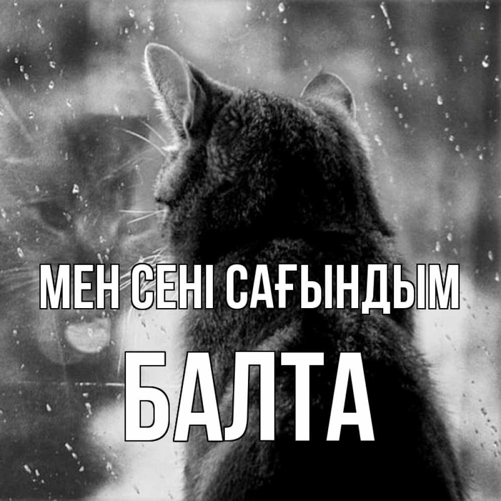 Күн сайын ашық хат с именем, Балта Мен сені сағындым скорее ко мне приходи 1 Онлайн тегін жүктеп алу тілектері бар керемет карта 