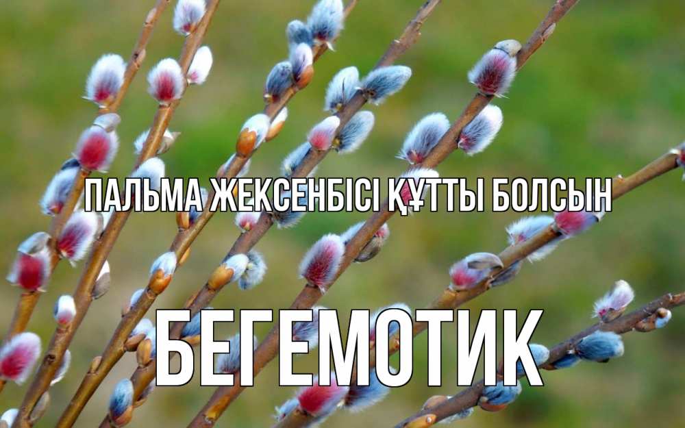 Күн сайын ашық хат с именем, Бегемотик Пальма жексенбісі құтты болсын верба Онлайн тегін жүктеп алу тілектері бар керемет карта 