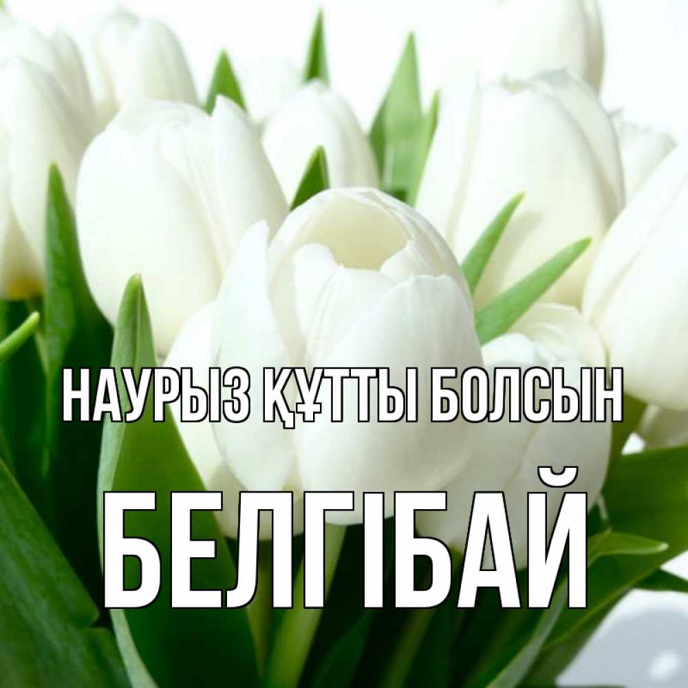 Күн сайын ашық хат с именем, Белгібай Наурыз құтты болсын цветы Онлайн тегін жүктеп алу тілектері бар керемет карта 