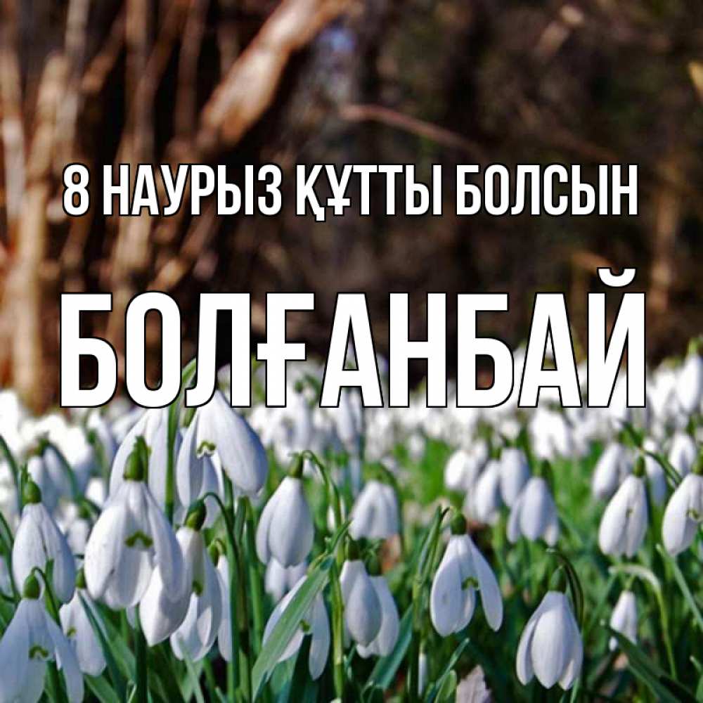 Күн сайын ашық хат с именем, Болғанбай 8 наурыз құтты болсын с подснежниками 1 Онлайн тегін жүктеп алу тілектері бар керемет карта 
