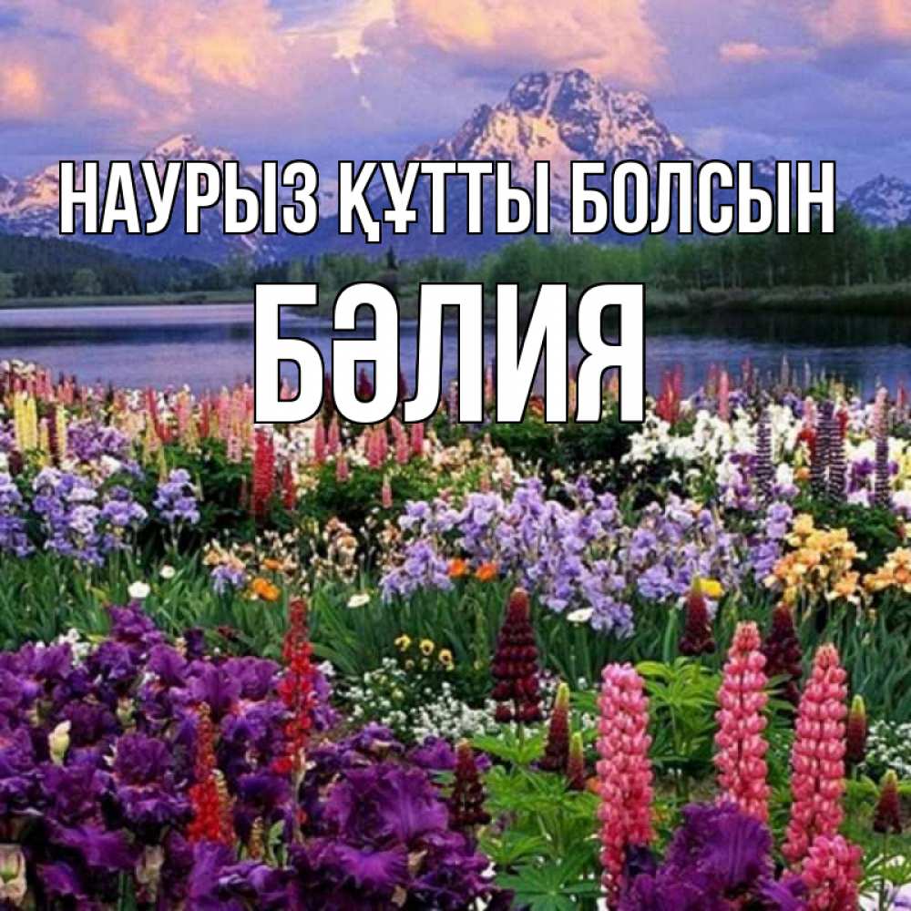 Күн сайын ашық хат с именем, БӘЛИЯ Наурыз құтты болсын наурыз Онлайн тегін жүктеп алу тілектері бар керемет карта 