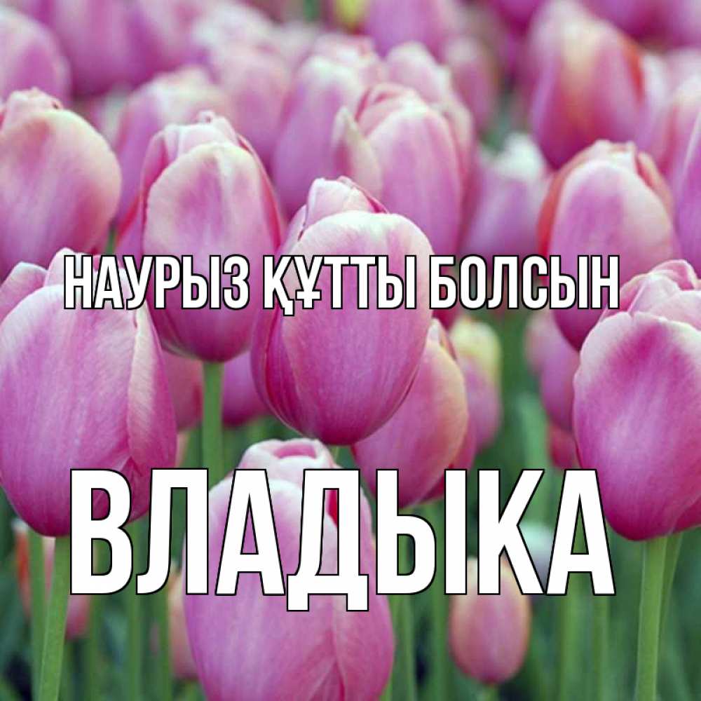 Күн сайын ашық хат с именем, Владыка Наурыз құтты болсын на наурыз  день 3 Онлайн тегін жүктеп алу тілектері бар керемет карта 
