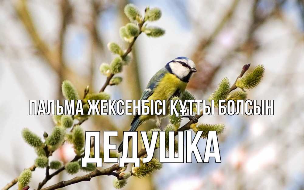 Күн сайын ашық хат с именем, Дедушка Пальма жексенбісі құтты болсын верба Онлайн тегін жүктеп алу тілектері бар керемет карта 