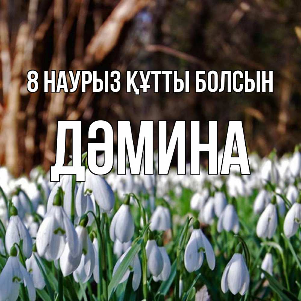 Күн сайын ашық хат с именем, ДӘМИНА 8 наурыз құтты болсын с подснежниками 1 Онлайн тегін жүктеп алу тілектері бар керемет карта 