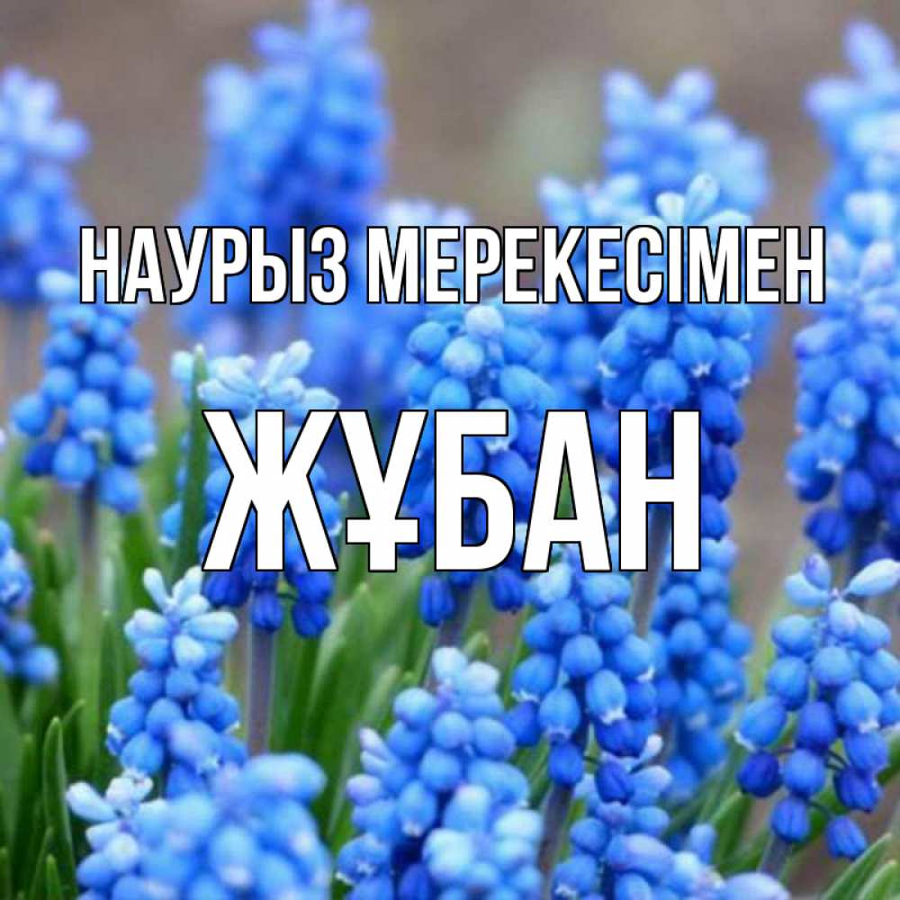 Күн сайын ашық хат с именем, Жұбан Наурыз мерекесімен Поздравительная открытка для женщин с цветами на праздничную дату Онлайн тегін жүктеп алу тілектері бар керемет карта 