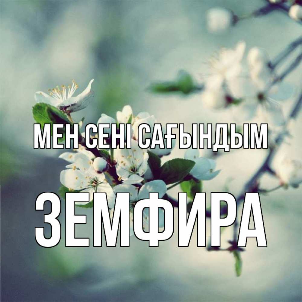 Күн сайын ашық хат с именем, ЗЕМФИРА Мен сені сағындым весна Онлайн тегін жүктеп алу тілектері бар керемет карта 