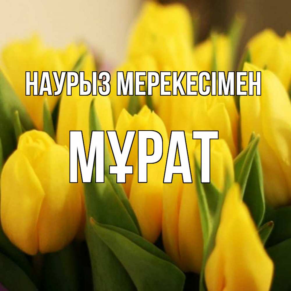 Күн сайын ашық хат с именем, МҰРАТ Наурыз мерекесімен цветы Онлайн тегін жүктеп алу тілектері бар керемет карта 