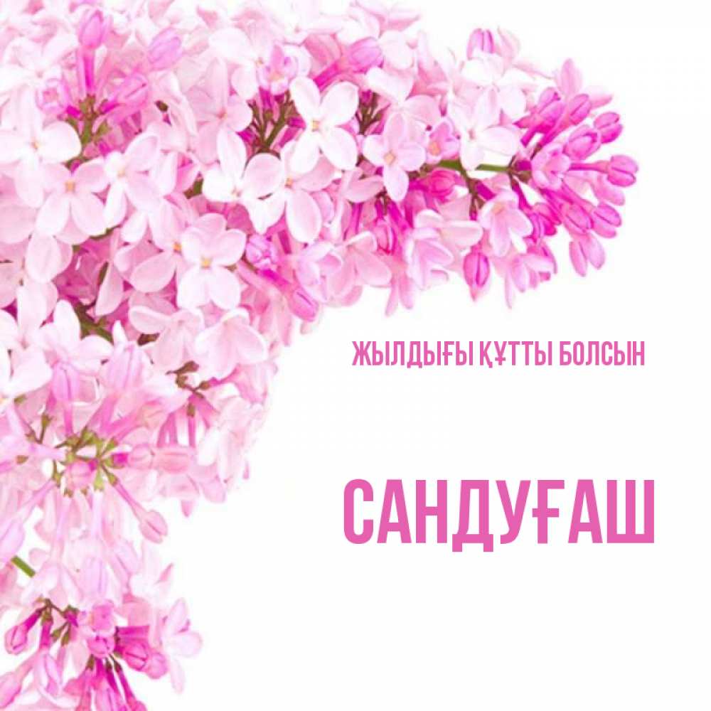 Күн сайын ашық хат с именем, САНДУҒАШ Жылдығы құтты болсын Сирень на белом фоне Онлайн тегін жүктеп алу тілектері бар керемет карта 