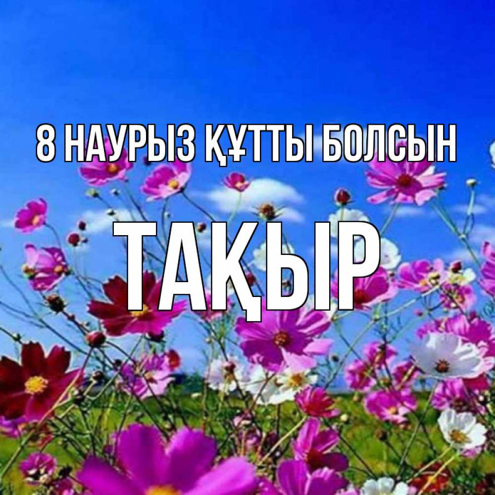 Күн сайын ашық хат с именем, ТАҚЫР 8 наурыз құтты болсын цветы Онлайн тегін жүктеп алу тілектері бар керемет карта 