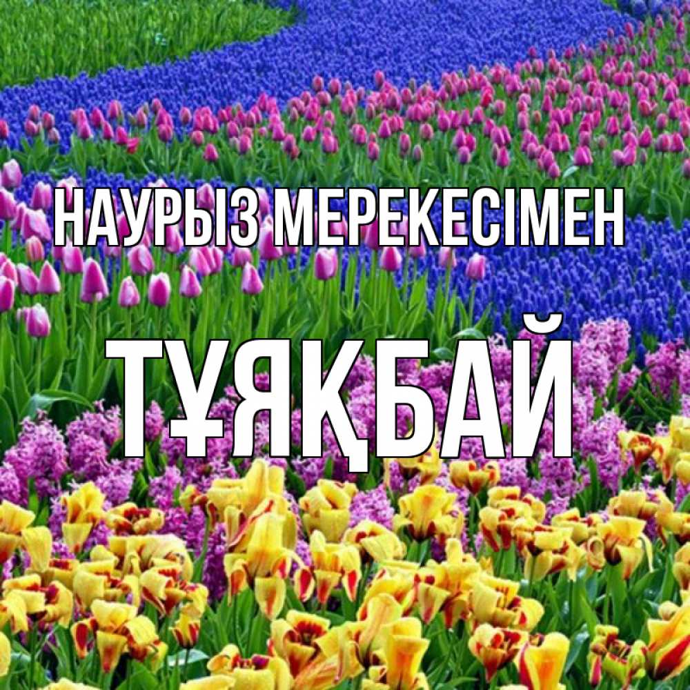 Күн сайын ашық хат с именем, ТҰЯҚБАЙ Наурыз мерекесімен цветы Онлайн тегін жүктеп алу тілектері бар керемет карта 