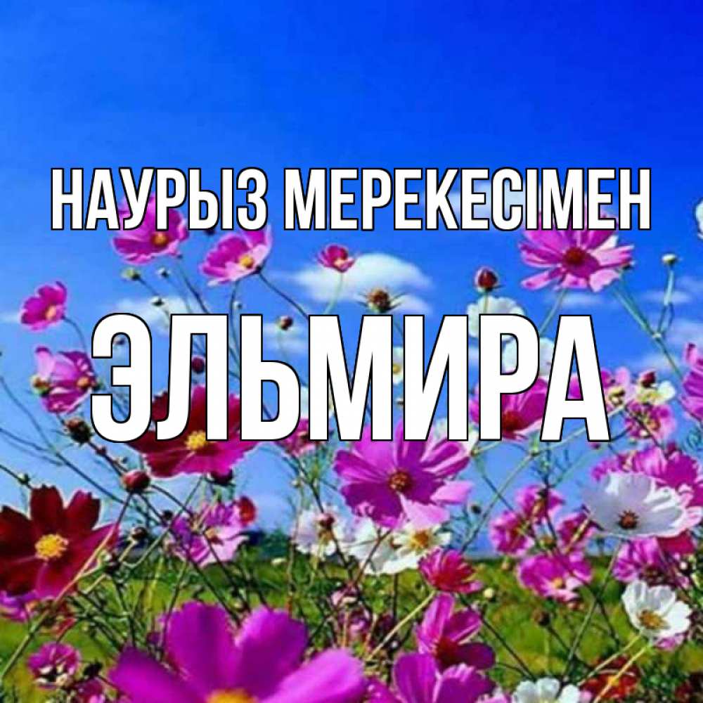Күн сайын ашық хат с именем, Эльмира Наурыз мерекесімен цветы Онлайн тегін жүктеп алу тілектері бар керемет карта 