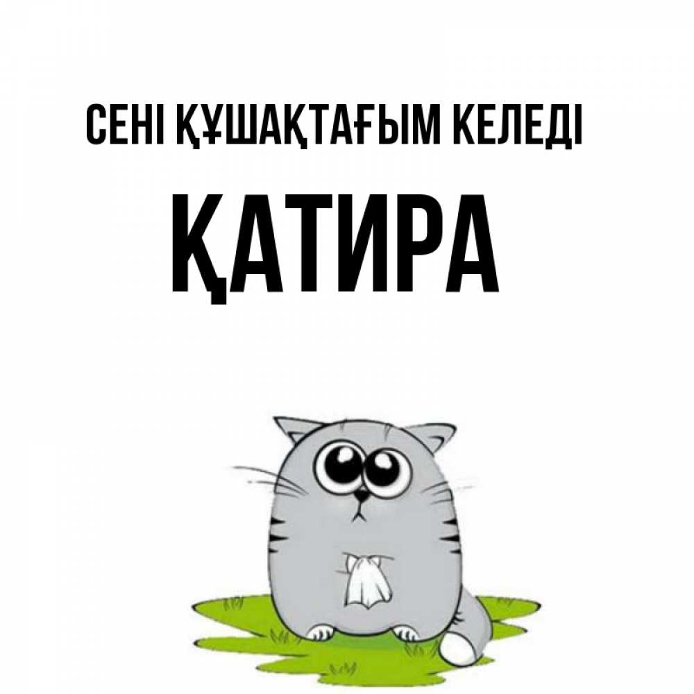 Күн сайын ашық хат с именем, ҚАТИРА сені құшақтағым келеді котик теребит платочек сидя на травке Онлайн тегін жүктеп алу тілектері бар керемет карта 
