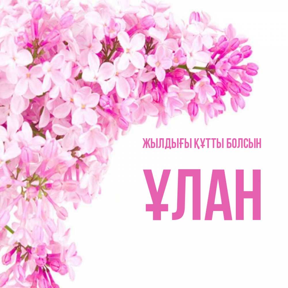 Күн сайын ашық хат с именем, ҰЛАН Жылдығы құтты болсын Сирень на белом фоне Онлайн тегін жүктеп алу тілектері бар керемет карта 