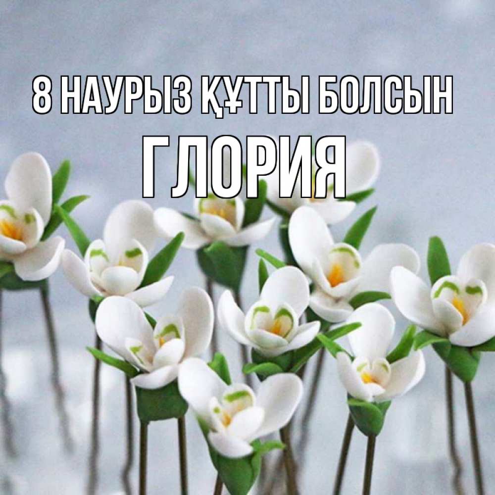 Күн сайын ашық хат с именем, Глория 8 наурыз құтты болсын весенние цветы Онлайн тегін жүктеп алу тілектері бар керемет карта 