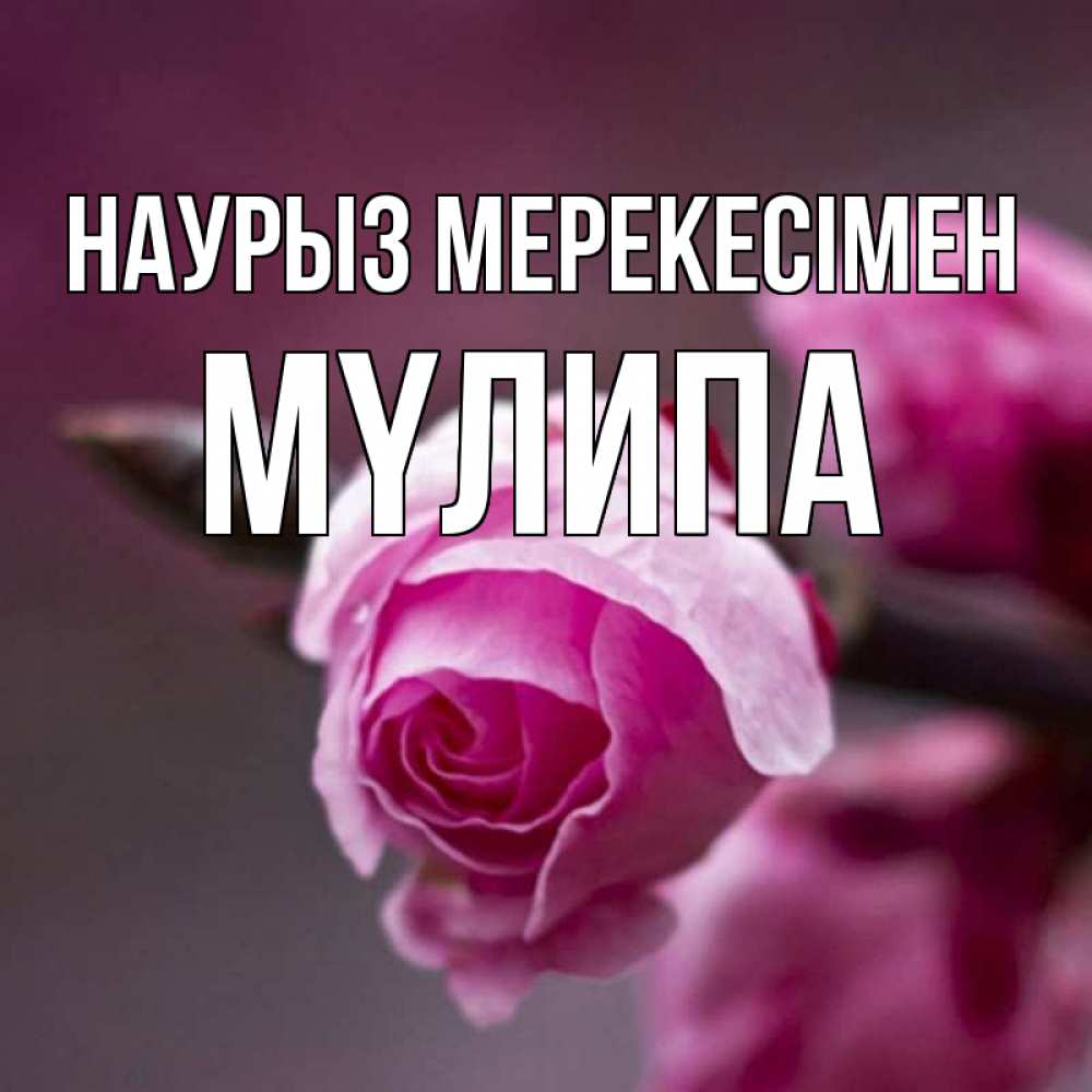 Күн сайын ашық хат с именем, МҮЛИПА Наурыз мерекесімен весна Онлайн тегін жүктеп алу тілектері бар керемет карта 