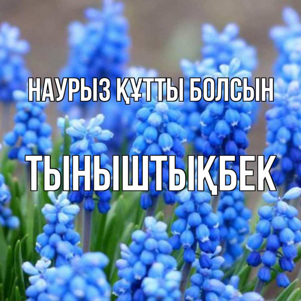 Күн сайын ашық хат с именем, ТЫНЫШТЫҚБЕК Наурыз құтты болсын Поздравительная открытка для женщин с цветами на праздничную дату Онлайн тегін жүктеп алу тілектері бар керемет карта 