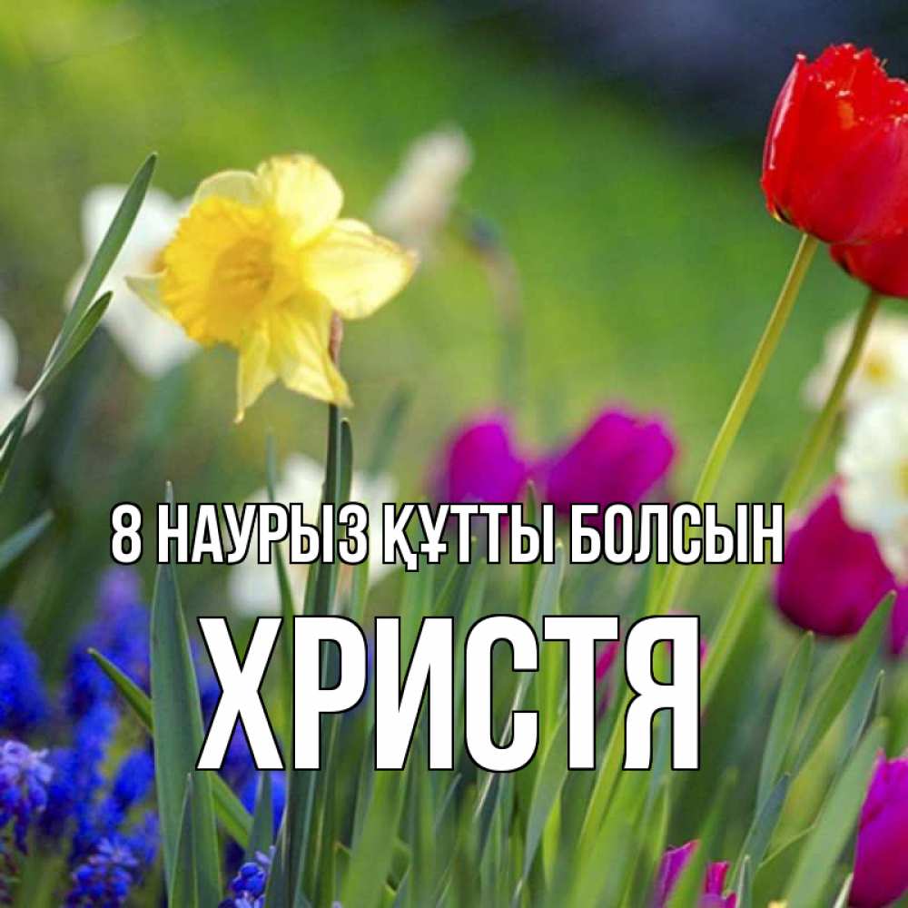 Күн сайын ашық хат с именем, Христя 8 наурыз құтты болсын международный женский день 3 Онлайн тегін жүктеп алу тілектері бар керемет карта 