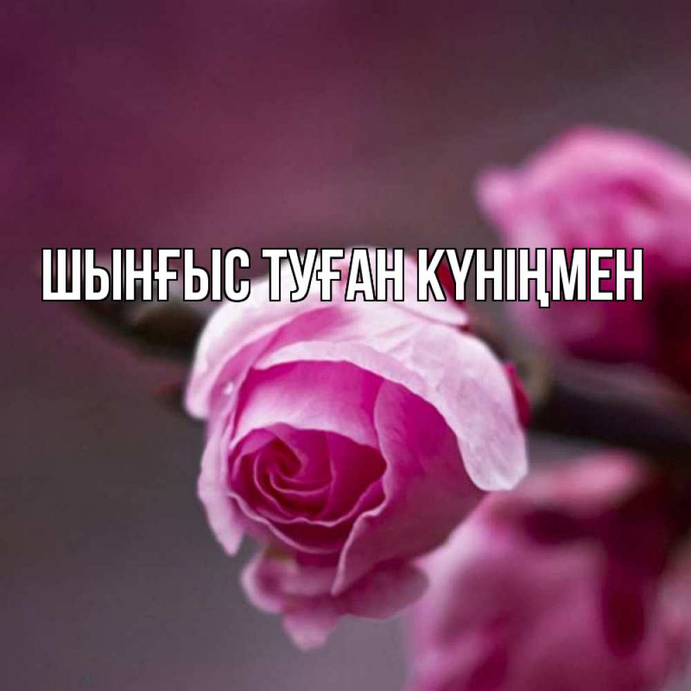 Картинка  с именем , ШЫНҒЫС! ТУҒАН КҮНІҢМЕН!